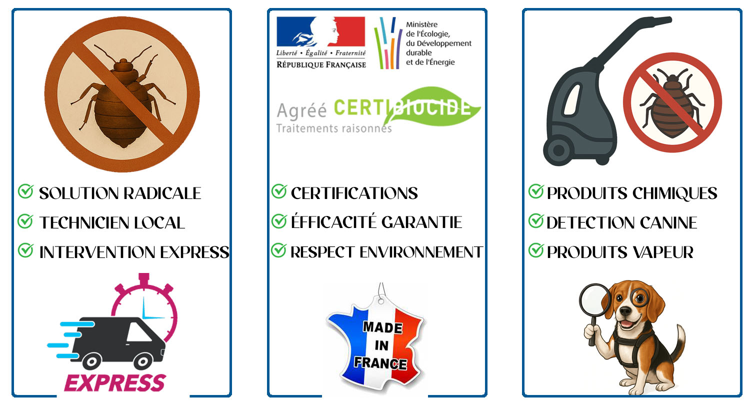 Punaises de Lit Beauchamp