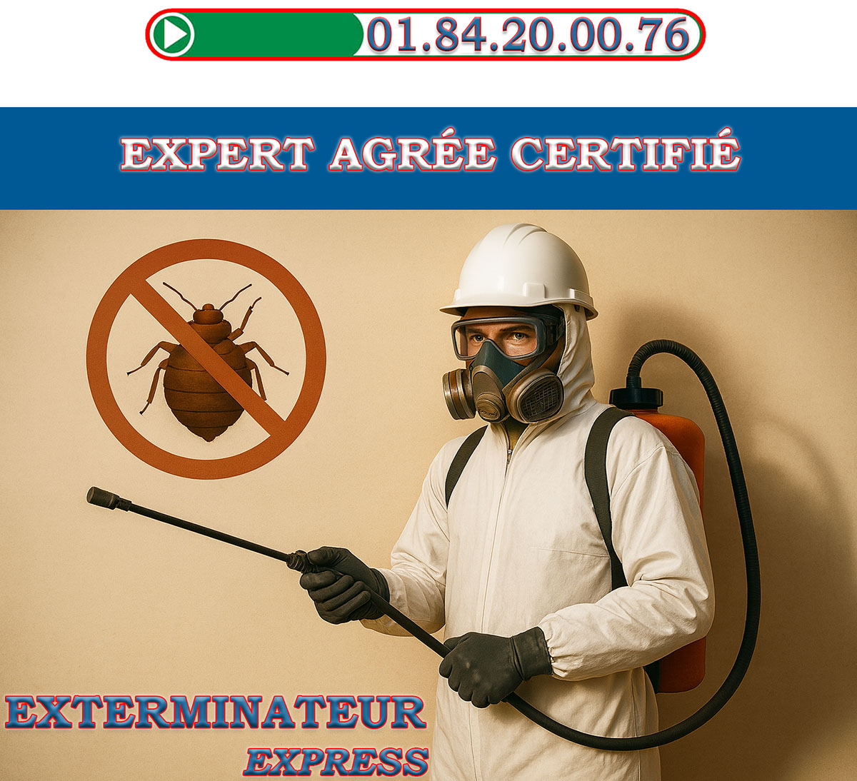 Punaises de Lit Beauchamp